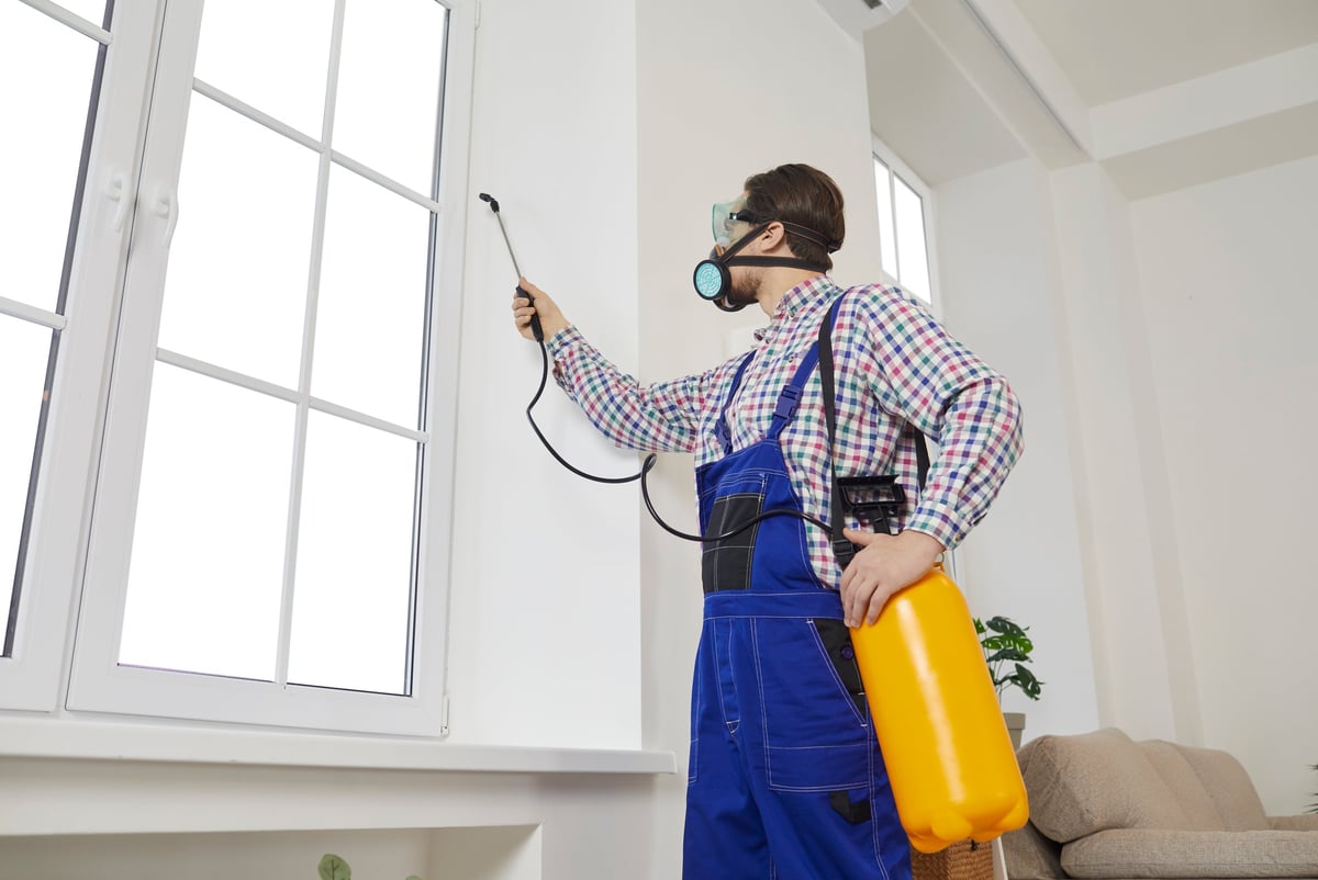 Male worker from pest control service spraying to protect customer house from insect